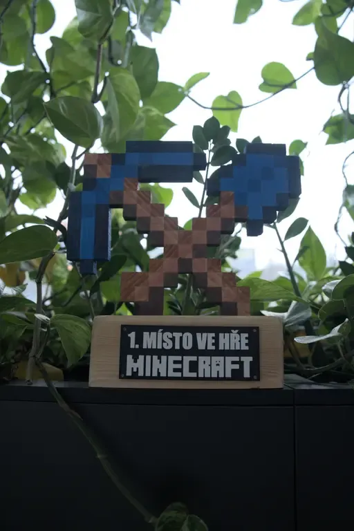 Ceny 2024 Minecraft